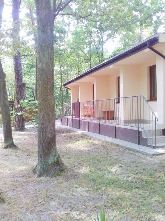 Osrodek Wypoczynkowy Forest 호텔 루블린 외부 사진